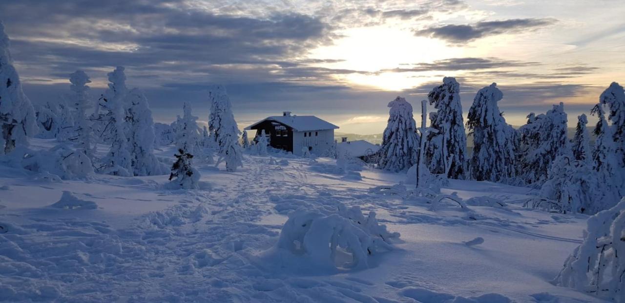 Sporthotel Rudolf 3*